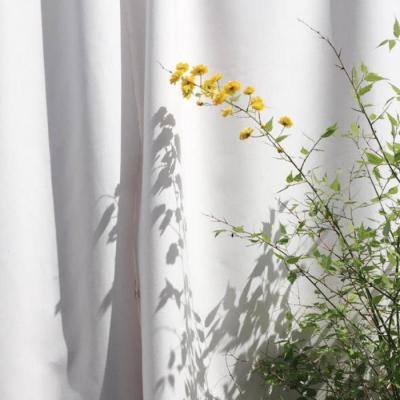 星空体育在线网页版